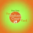 Yew Tree-The Indian Court Yard