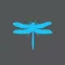 DigiLife by Dragonfly
