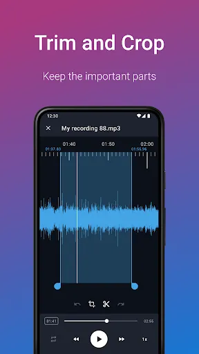 Скриншоты Easy Voice Recorder Pro