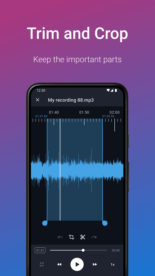 Easy Voice Recorder Pro-screenshot-5