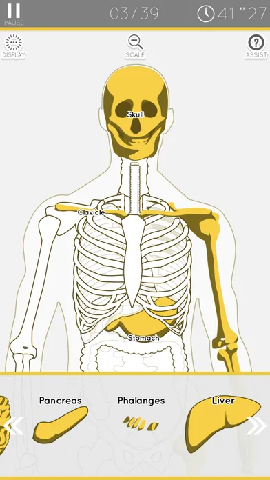 Enjoy Learning Anatomy puzzle應用截圖