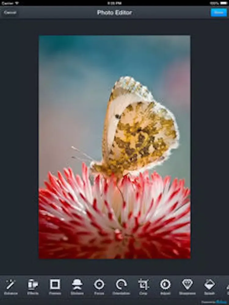 Ảnh chụp màn hình của Photo Edit Gold: Image editor & Meme creating tool iPad 