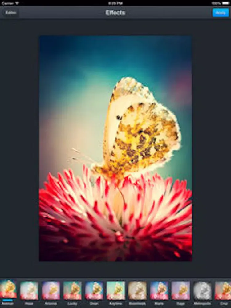 Ảnh chụp màn hình của Photo Edit Gold: Image editor & Meme creating tool iPad 