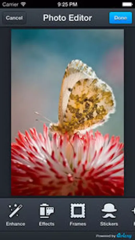 Ảnh chụp màn hình của Photo Edit Gold: Image editor & Meme creating tool
