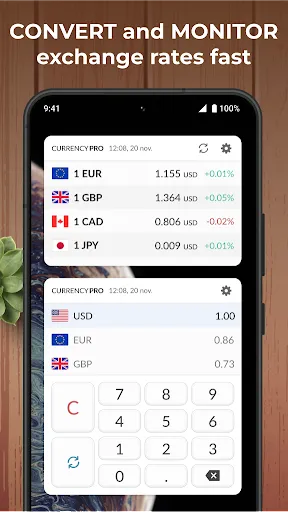 Скриншоты Currency Converter Plus