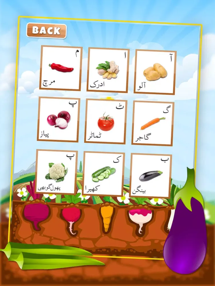 Capturas de tela do Urdu Qaida Vegetable Learning Urdu - Kids Educational Book iPad 