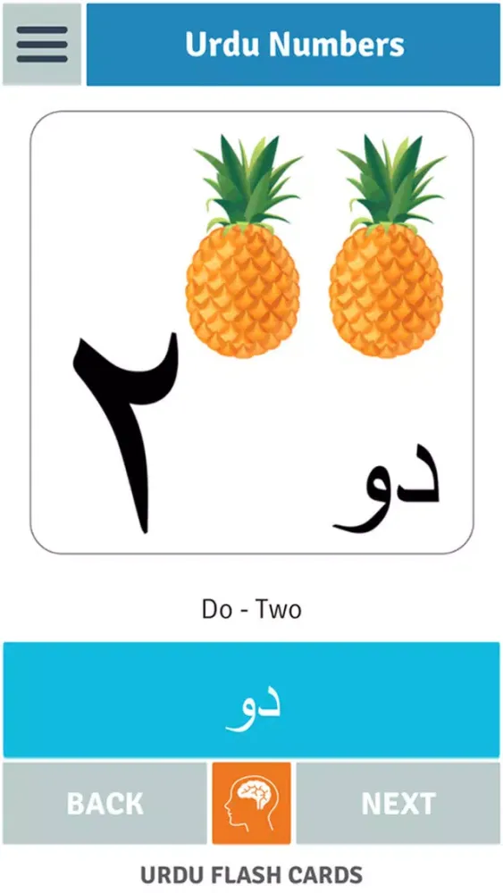 Urdu Flash Cards应用截图
