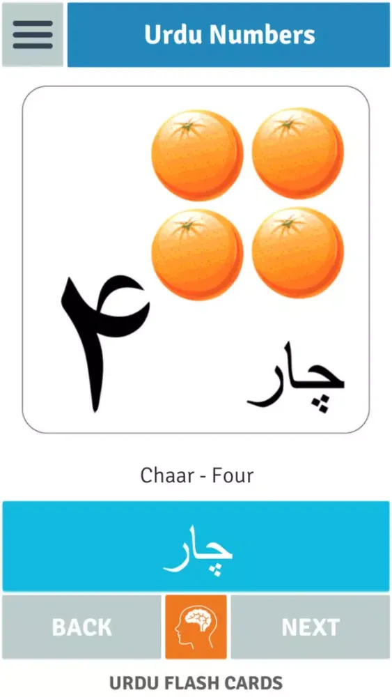 Urdu Flash Cards应用截图