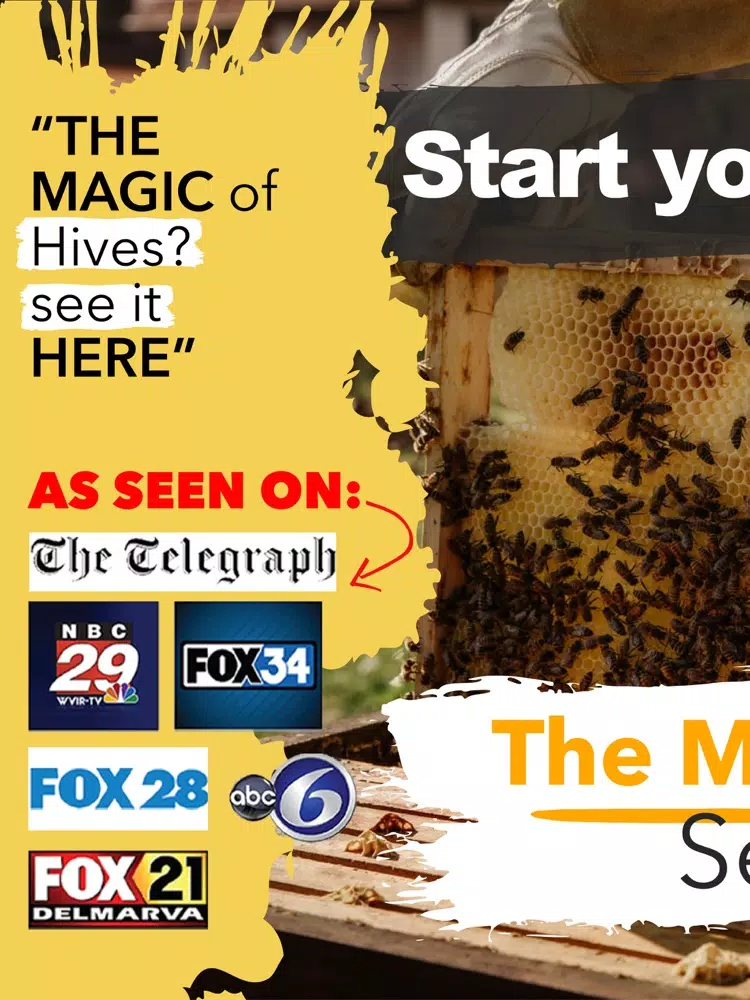 How To Beekeeper App iPad 应用截图