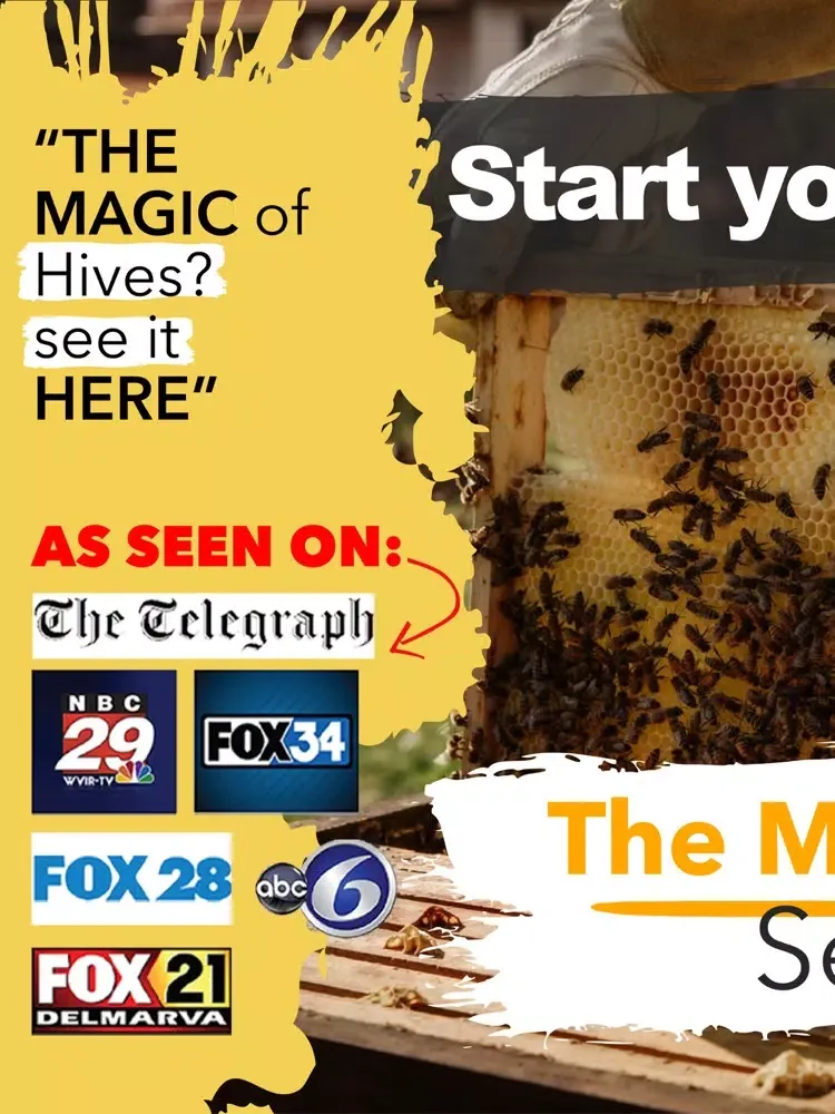 How To Beekeeper App iPad 应用截图