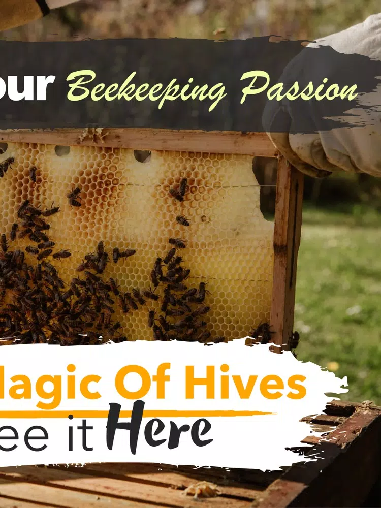 How To Beekeeper App iPad 应用截图