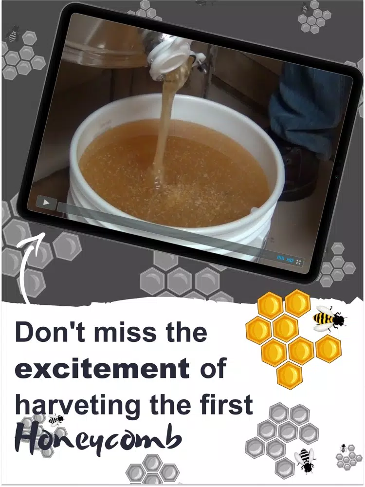 How To Beekeeper App iPad 应用截图