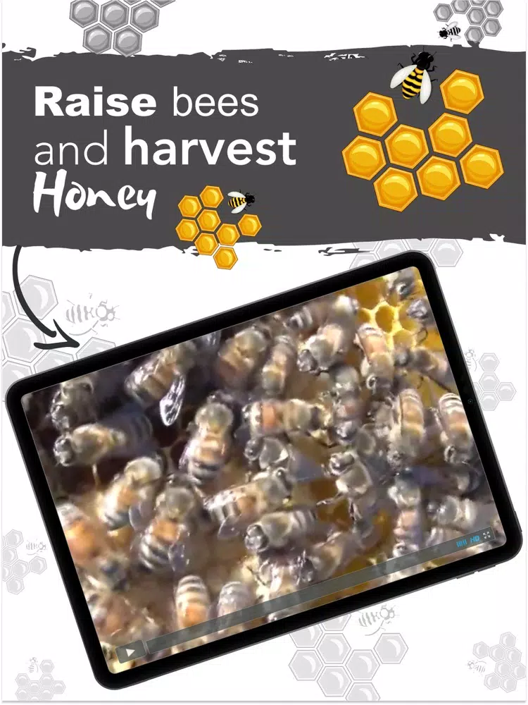 How To Beekeeper App iPad 应用截图