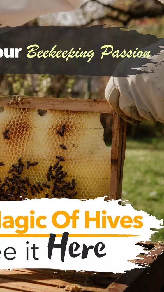 How To Beekeeper App应用截图
