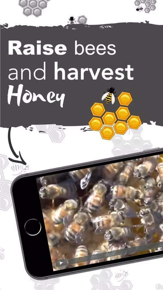 How To Beekeeper App应用截图
