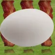 Eggs And Bacon