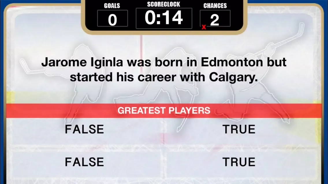 صور Playoff Challenge for the NHL