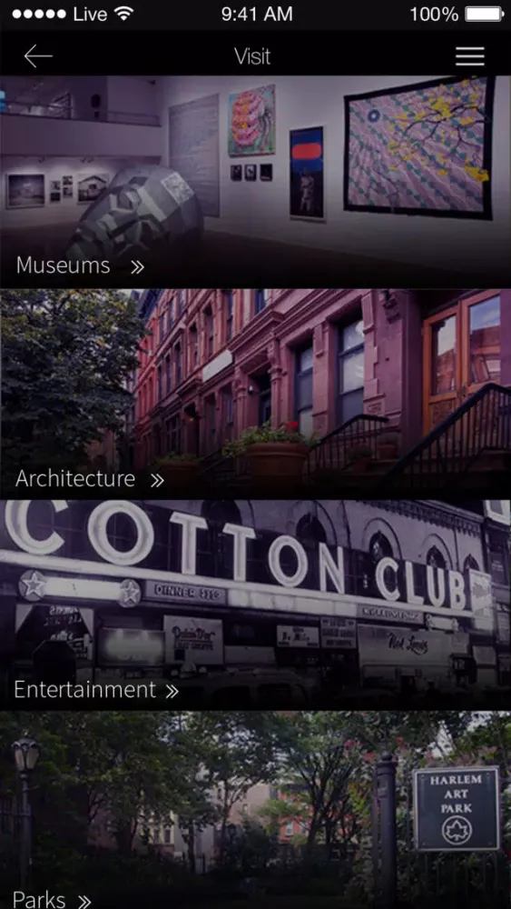 Ảnh chụp màn hình của Walk Harlem