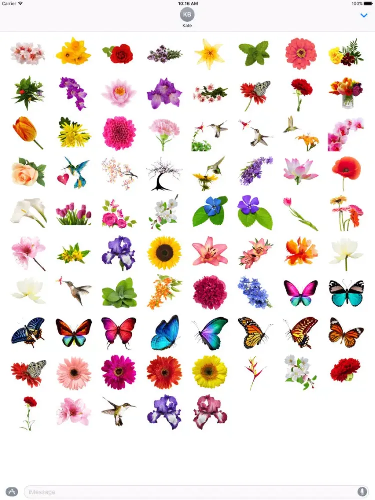 Spring Flowers Stickers for iMessage iPad  স্ক্রিনশট