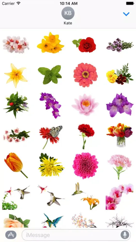 Spring Flowers Stickers for iMessage স্ক্রিনশট