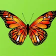 Beautiful Butterfly Sticker Pack Beautiful Butterfly Sticker Pack