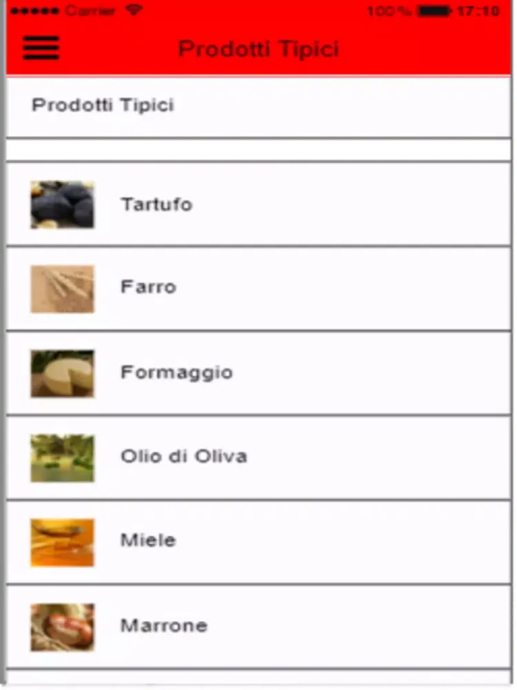 Captures d'écran de Spoleto Tourist mAPP iPad 