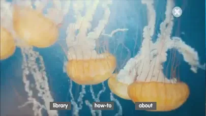 تصاویر Video Fact Book