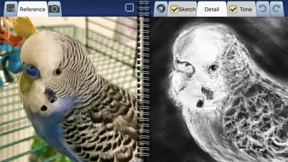 Capturas de tela do Interactive Sketchbook