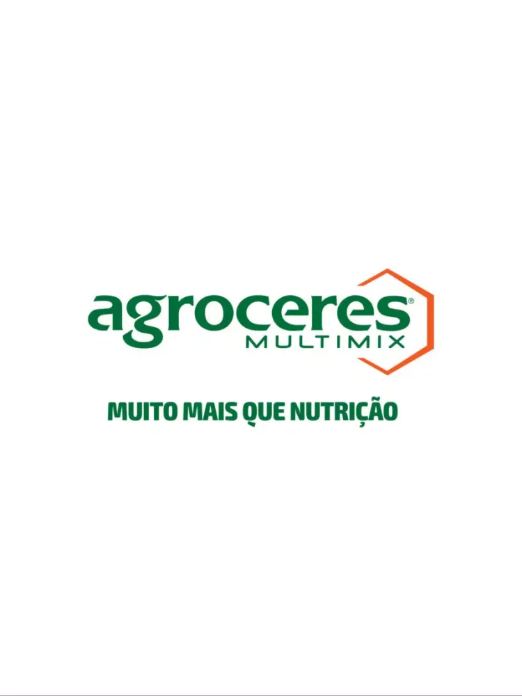 AgNews Suínos iPad 应用截图