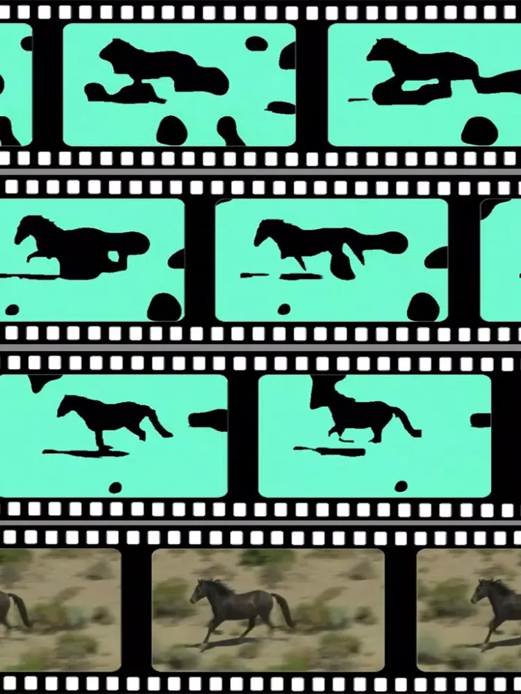 Zrzuty ekranu What's The Video iPad 