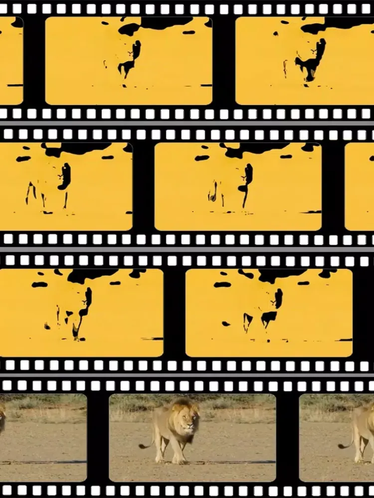 Zrzuty ekranu What's The Video iPad 