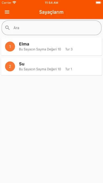 Скриншоты Sayac