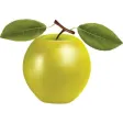 Cartoon Fruits