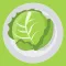 Cabbage Recipes