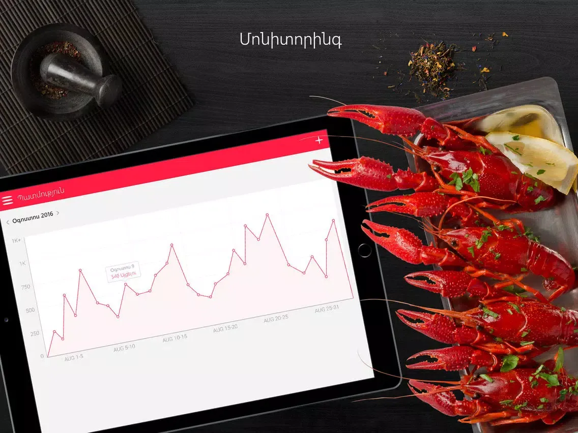 Dinebook Manager iPad  Ekran Görüntüleri