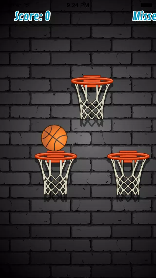 ภาพหน้าจอของ Basketball Pro!