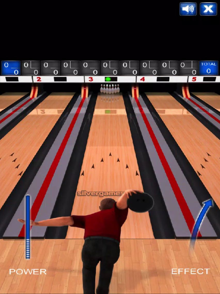 Pin Bowling - Pro iPad  Screenshots