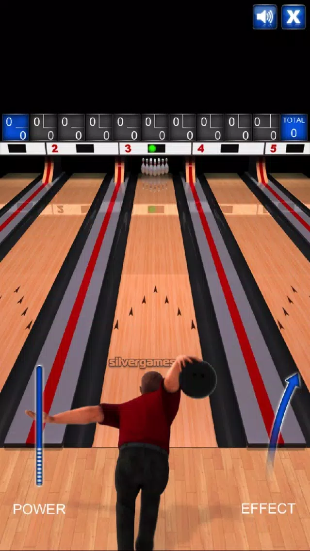 Pin Bowling - Pro Screenshots