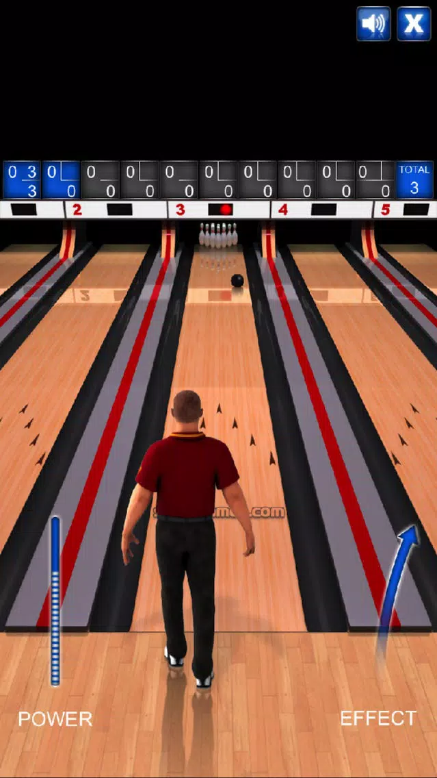 Pin Bowling - Pro Screenshots
