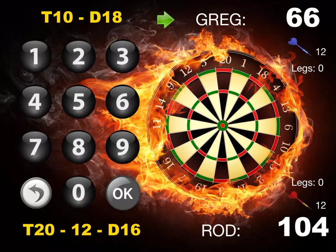 Real Darts iPad  سکرین شاٹس