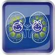 NefroPedCal