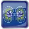 NefroPedCal