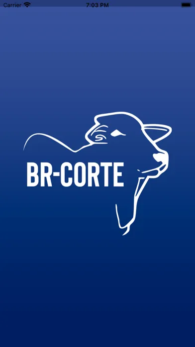 BR-Corte 5.0 Screenshots