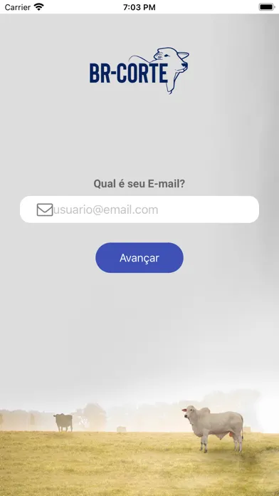 BR-Corte 5.0 Screenshots