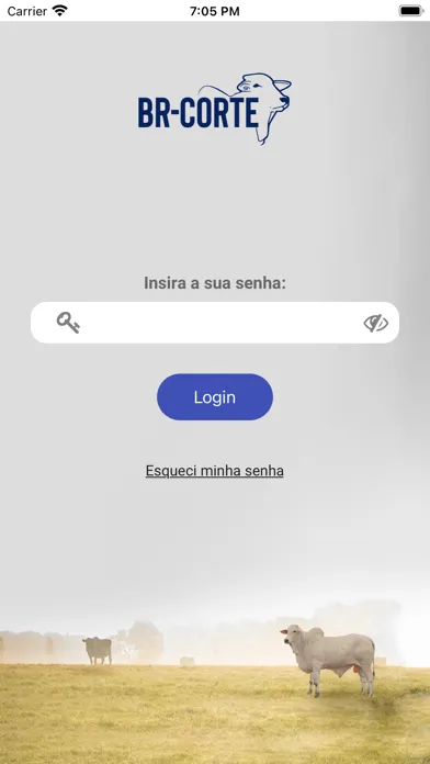 BR-Corte 5.0 Screenshots