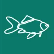 FishSight - Fish Identifier