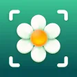Plant, Flower Identifier&Care
