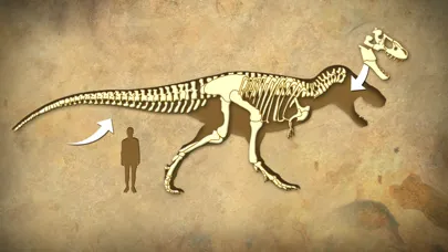 Dinosaur & Fossils for kids Ekran Görüntüleri