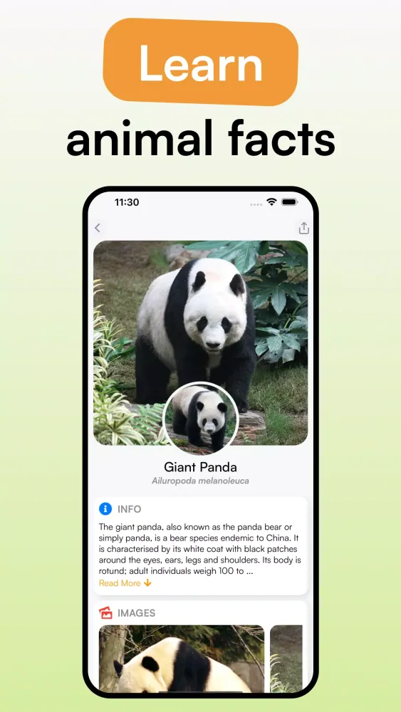 Animal Identifier - iSpecies Screenshots