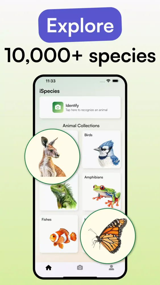 Animal Identifier - iSpecies Screenshots